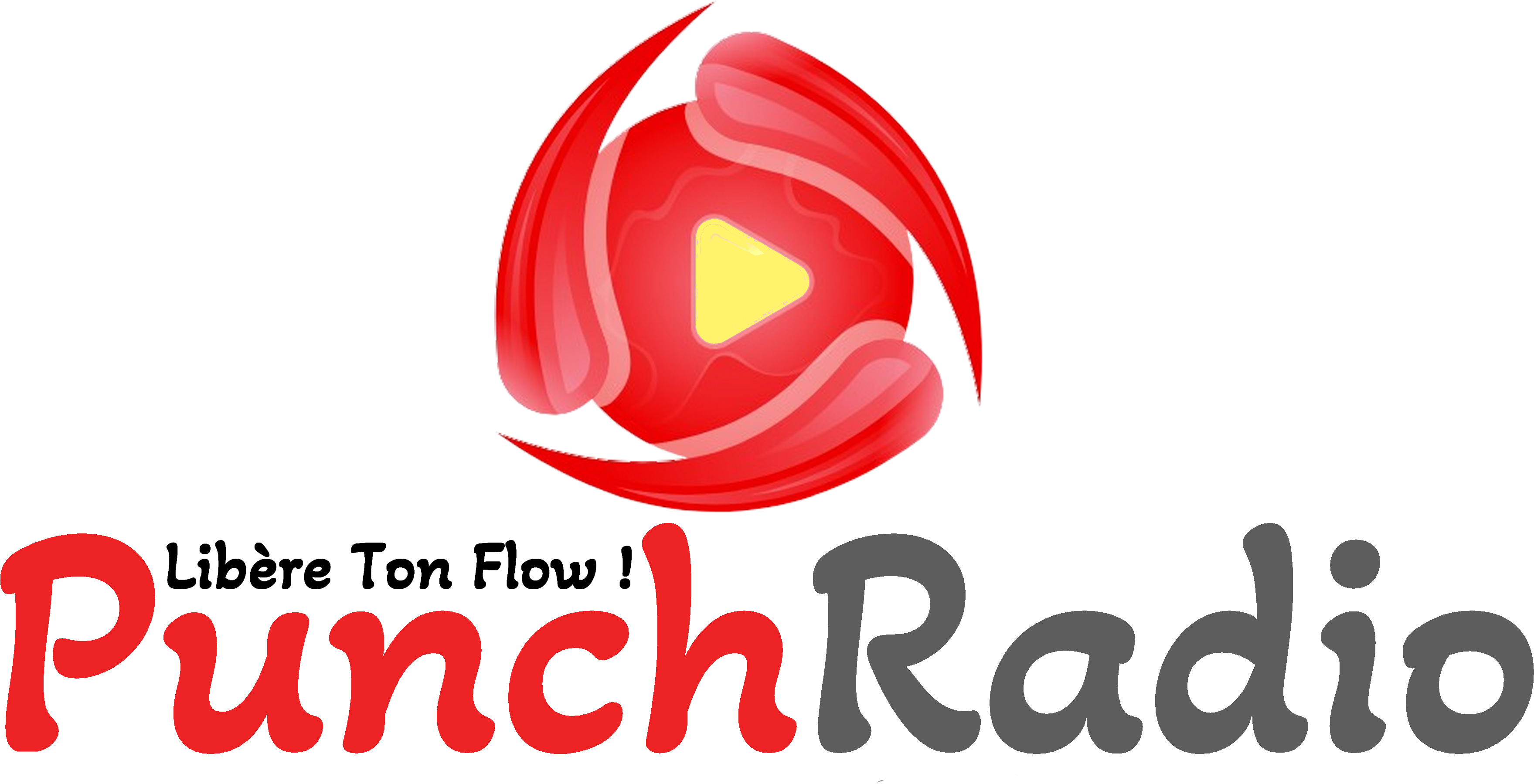 Logo PunchradioFR couleur noir et transparent.png (1.74 MB)